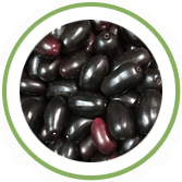 Jamun