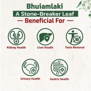 Bhuiamlaki