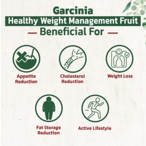 Garcinia