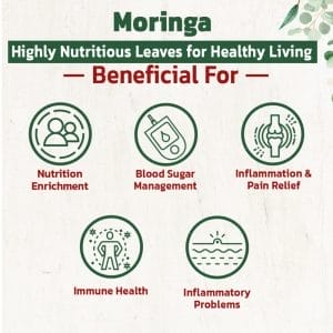 Moringa 1 1