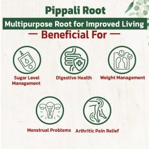 Pippali Root1