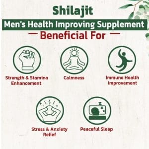 Shilajit 1