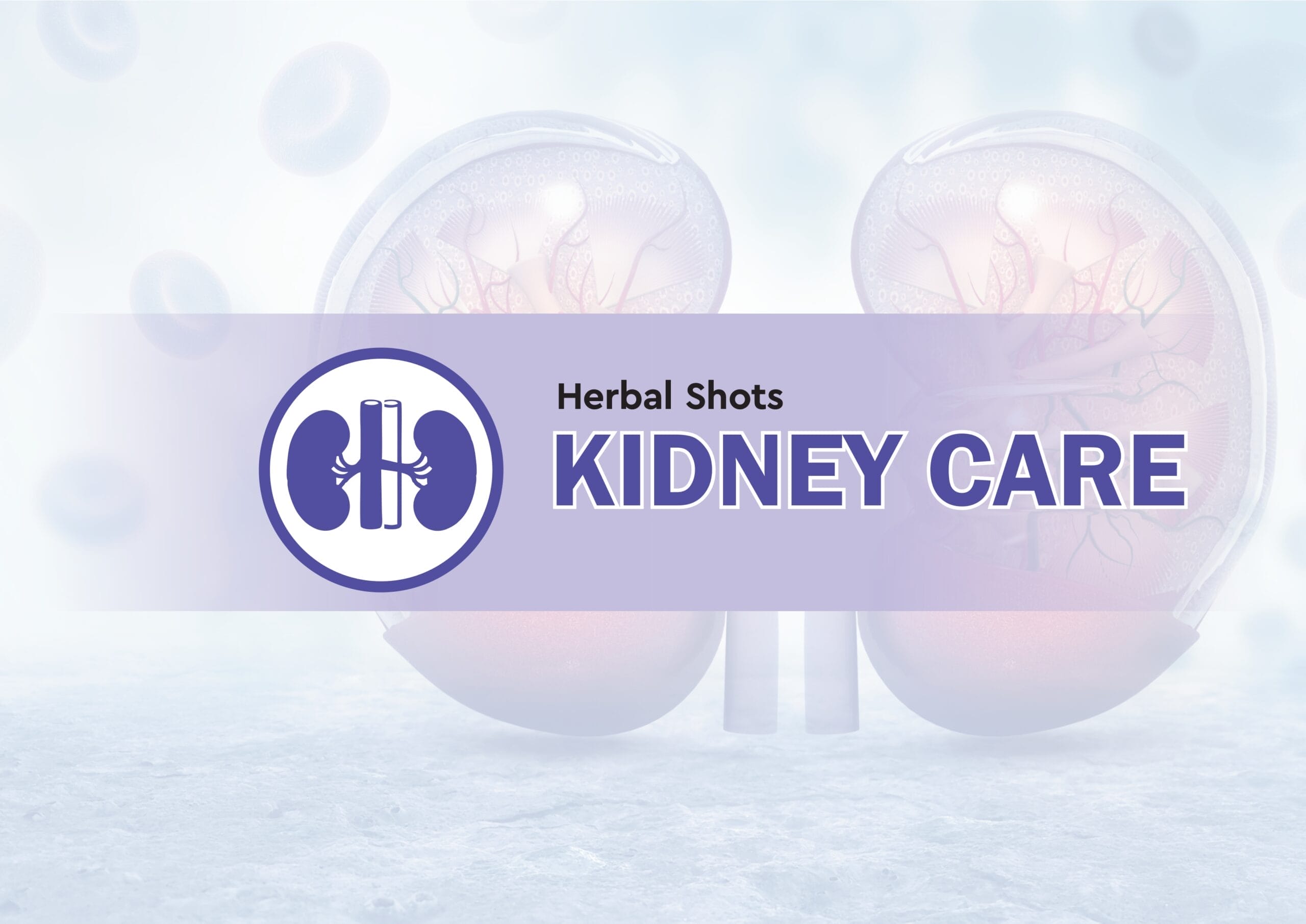 Kidney Care 1 page 0001 scaled 1