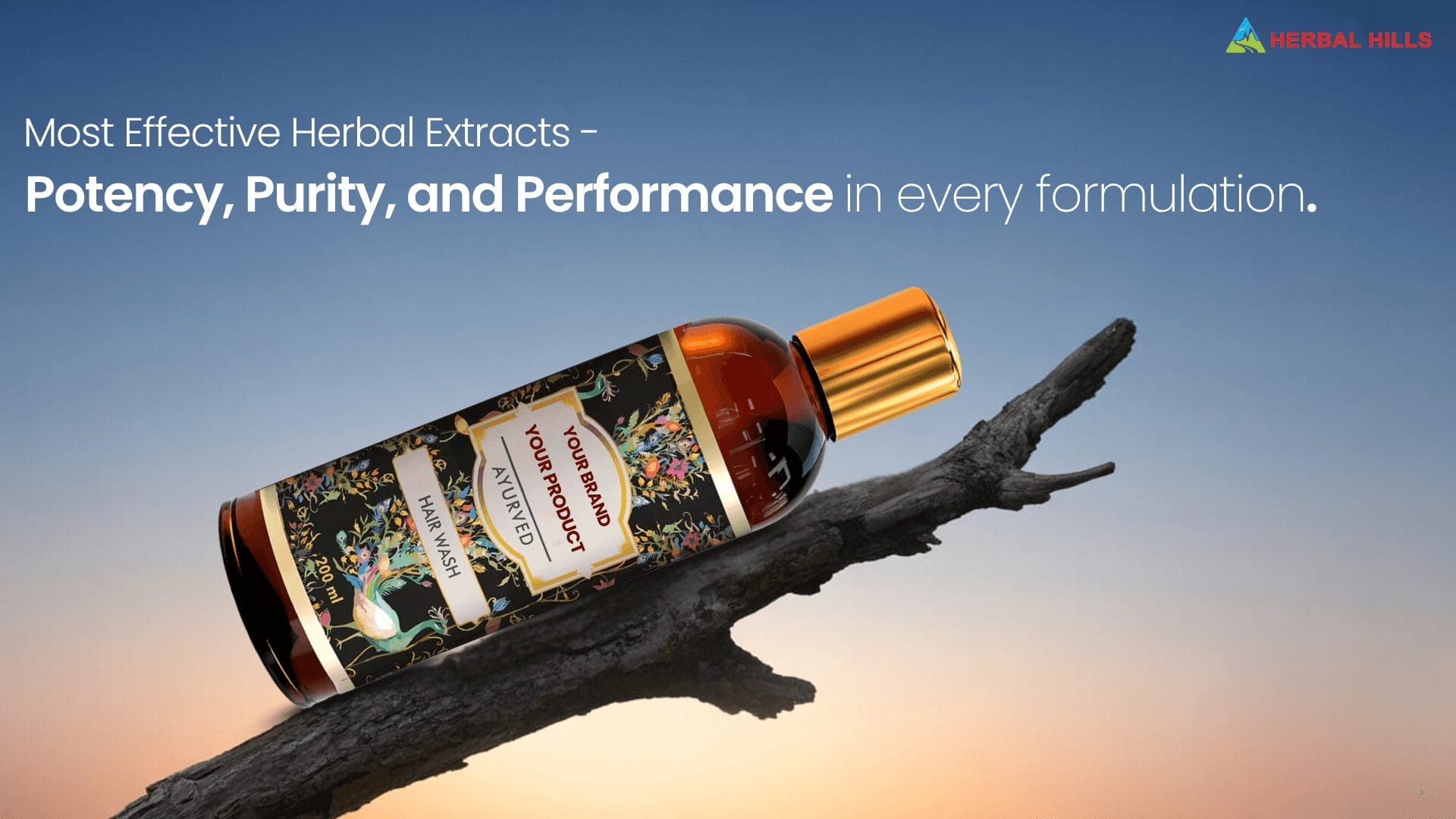 Best Herbal Extracts Used in Ayurvedic Products: A Manufacturer’s Perspective 1 Best Herbal Extracts Used in Ayurvedic Products: A Manufacturer’s Perspective